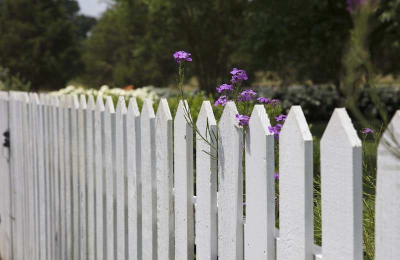 Fence, Shed and Garden Painting: Tips for Sussex Gardens